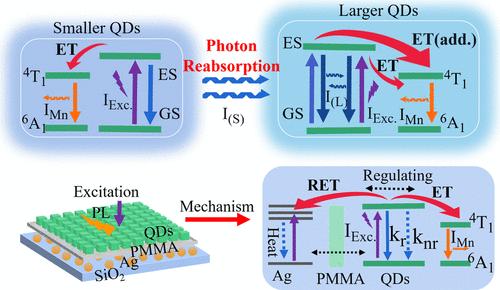 Photon Reabsorption and Surface Plasmon Modulating Exciton-to-Dopant Energy Transfer Dynamics in Mn:CsPb(BrCl)3 Quantum Dots