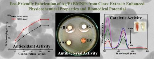 Eco-friendly fabrication of Ag/Pt bimetallic nanoparticles from clove extract: Enhanced physicochemical properties and biomedical potential