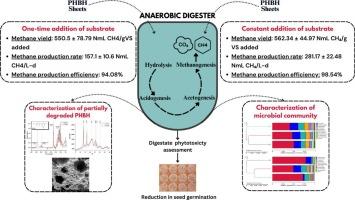 Batch and semi-batch anaerobic digestion of poly(3-hydroxybutyrate-co-3-hydroxyhexanoate) (PHBH) bioplastic: New kinetic, structural, microbiological and digestate phytotoxicity insights