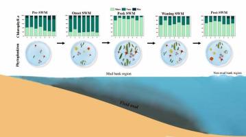 Implications of coastal upwelling and mud banks on the structuring of phytoplankton communities in the nearshore waters of Alappuzha, southwest coast of India