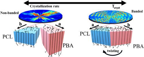 Effect of mutual crystallization of poly(butylene adipate) and poly(ε-caprolactone) on spherulitic morphology in multiblock thermo-plastic polyurethanes