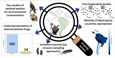 Pesticides and veterinary pharmaceuticals in neotropical avian carnivores: A scoping review