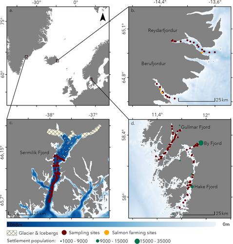Global Fjords as Minor Sources of Nitrous Oxide to the Atmosphere