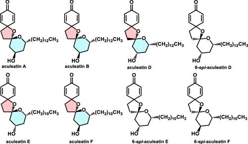 Collective Total Synthesis of Aculeatin A, B, D, E, and F