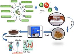 Annona squamosa seeds capped calcium oxide nano particles – anti-microbial, antioxidant, anti-ulcer analysis