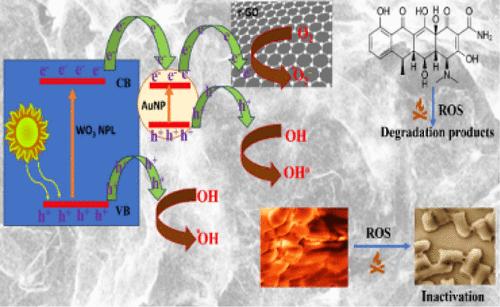 Photothermal–Photocatalytic Ternary Heterostructure for Solar Light-Driven Highly Efficient Degradation of Antimicrobial Agents and Inactivation of Superbugs