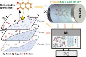 Machine learning-guided discovery of high-efficiency electrolyte additives for aqueous magnesium-air batteries