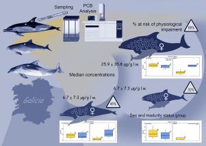 Monitoring levels of polychlorinated biphenyls (PCBs) in three cetacean species stranded in Galicia (Spain), NE Atlantic