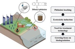 Enhanced degradation of dibutyl phthalate using a synthetic mixed bacterial system and its impact on environmental toxicity