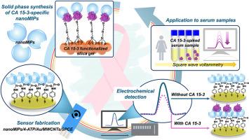 CA 15-3-specific molecularly imprinted polymer nanoparticles-based voltammetric sensor for breast cancer monitoring