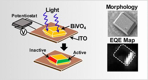 Unequal {110} Facets: The Potential Role of Intraparticle Heterogeneity and Facet Termination in Photoelectrochemical Activity of Single BiVO4 Particles