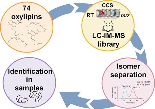 Development of an Oxylipin Library Using Liquid Chromatography-Ion Mobility Quadrupole Time-of-Flight: Application to Mouse Brain Tissue