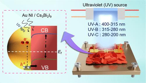 On-Chip Full-UV-Band Photodetectors Enabled by Hot Hole Extraction