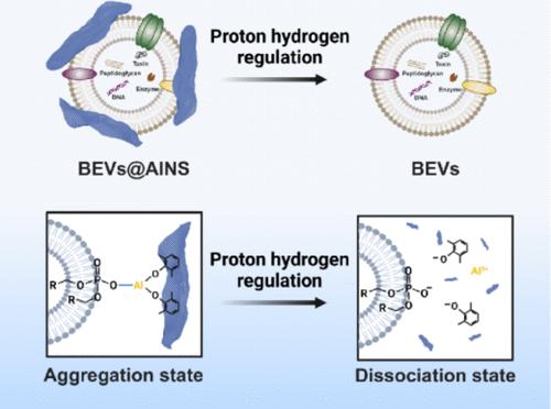 Al-Based Metal–Organic Nanoslice-Coupled Phospholipid Layer Enables Highly Enriched Biological External Vesicles