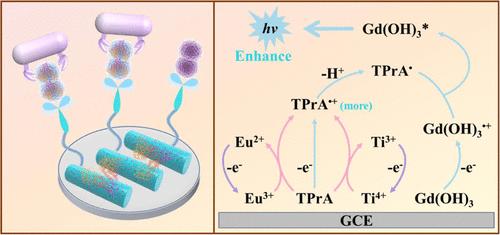 Multivalent Redox Reversible Conversion-Enhanced Electrochemiluminescence Strategy for Progesterone Detection
