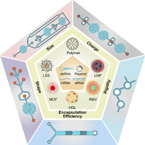 Microfluidics-Assembled Nanovesicles for Nucleic Acid Delivery