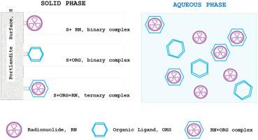 Radionuclide retention by portlandite in the presence of isosaccharinate and phthalate and possible role of ternary complexes