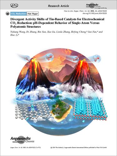 Frontispiece: Divergent Activity Shifts of Tin-Based Catalysts for Electrochemical CO2 Reduction: pH-Dependent Behavior of Single-Atom Versus Polyatomic Structures
