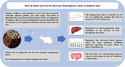 Flavonoids of Pigmented Rice Lower Blood Glucose Levels by Regulating the Glucose Metabolism Pathway and Gut Microbiota Composition