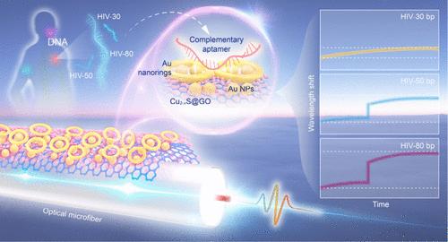 Single-Molecule Amplification-Free Detection of Nucleic Acid Biomarkers from Body Fluids via an Optical Microfiber with a Nanointerface