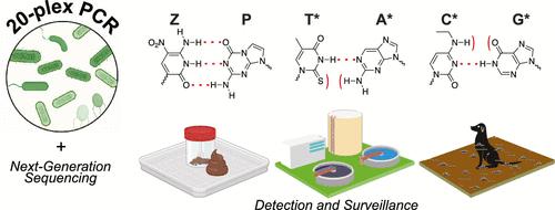 Harnessing Non-standard Nucleic Acids for Highly Sensitive Icosaplex (20-Plex) Detection of Microbial Threats for Environmental Surveillance