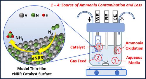 Adapting Stringent Electrochemical Nitrogen Reduction Protocols for Catalysts with Ultralow Production Rates