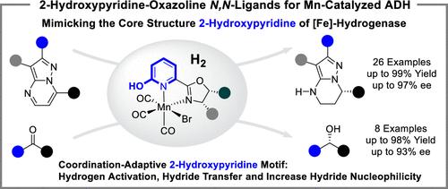 Design and Synthesis of Chiral Bidentate Phosphine-Free 2-Hydroxypyridine-Oxazoline Ligands for Manganese-Catalyzed Hydrogenation