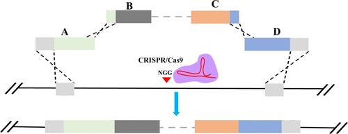 Simultaneous In Vivo Assembly and Targeted Genome Integration of Gene Clusters in Trichoderma reesei
