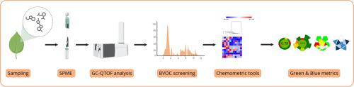 Miniaturized analytical method to evaluate the profile of biogenic volatile organic compounds from Spanish tree species by gas chromatography coupled to mass spectrometry and chemometric tools