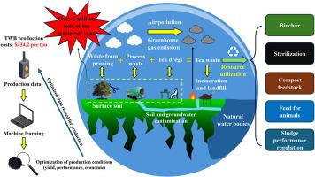 Resource utilization of tea waste in biochar and other areas: Current status, challenges and future prospects