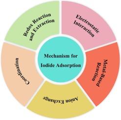 The mechanism and influential factors for radioactive iodide adsorption: A review