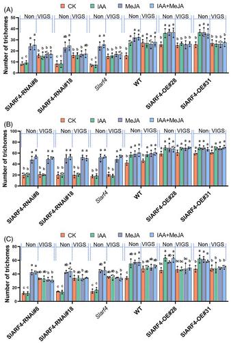 SlASR3 mediates crosstalk between auxin and jasmonic acid signaling to regulate trichome formation in tomato