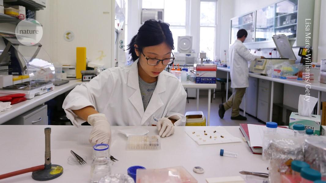 Are PhDs losing their lustre? Why fewer students are enrolling in doctoral degrees