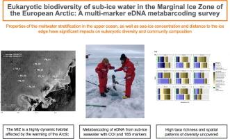 Eukaryotic biodiversity of sub-ice water in the marginal ice zone of the European Arctic: A multi-marker eDNA metabarcoding survey