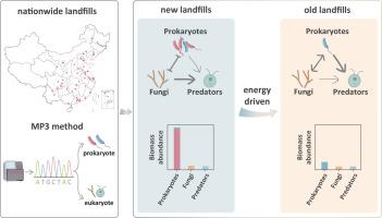 Spatiotemporal profiling and succession of microbial communities in landfills based on a cross-kingdom abundance quantification method