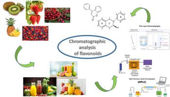 Comprehensive review on chromatographic analysis of flavonoids in fruits