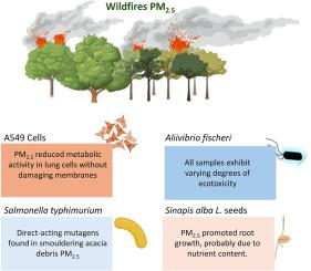 Toxicological screening of PM2.5 from wildfires involving different biomass fuels