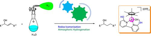 Auto-Tandem Catalyst: From Allylic Alcohols to Secondary Alcohols via Redox Isomerization/Atmospheric Hydrogenation in Water Catalyzed by a Water-Soluble Iridium Complex Bearing a Functional Ligand