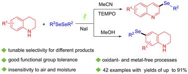 Tunable selective electrochemical selenization of tetrahydroquinolines with diselenides†