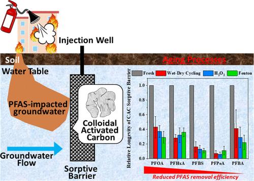 Effects of Physical and Chemical Aging of Colloidal Activated Carbon on the Adsorption of Per- and Polyfluoroalkyl Substances