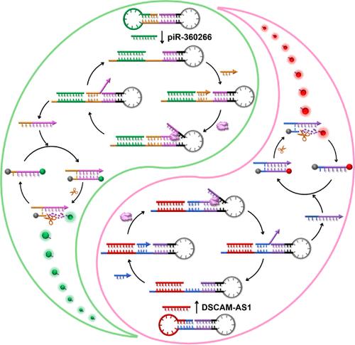 A Programmable Automatic Cascade Machinery for Single-Molecule Profiling of Multiple Noncoding RNAs in Breast Tissues
