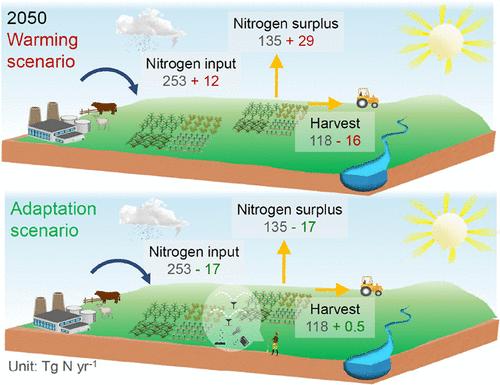 Adaptive Mitigation of Warming-Induced Food Crisis and Nitrogen Pollution
