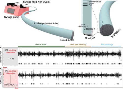 Implantable Soft Neural Electrodes of Liquid Metals for Deep Brain Stimulation