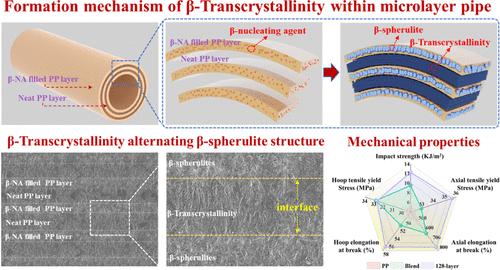 Toughening Polypropylene Pipe by Tailoring the Multilayer of β-Transcrystallinity Alternating β-Spherulite