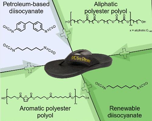 Rethinking Polyurethane Dogma for Fully Renewable and Biodegradable Foams