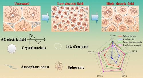 Morphology and Electrical Properties of AC Electric-Field-Assisted Low-Density Polyethylene