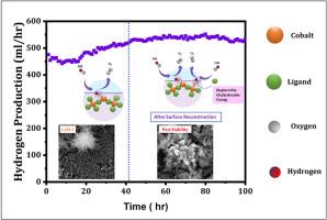 Scalable Co-MOF thin films for OER: Achieving low overpotential and enhanced catalytic activity via surface reconstruction