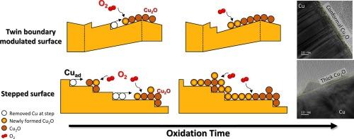Mechanistic understanding of self-limiting oxidation behavior of copper nanowires with dense twin boundaries