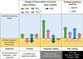Benthic ecosystem function responses to plasticizer content in polyester and PVC