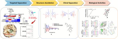 Bioassay and NMR-HSQC-Guided Isolation and Identification of Phthalide Dimers with Anti-Inflammatory Activity from the Rhizomes of Angelica sinensis